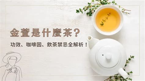 什麼萱|金萱是什麼茶？金萱茶功效、咖啡因、飲茶禁忌全解析！